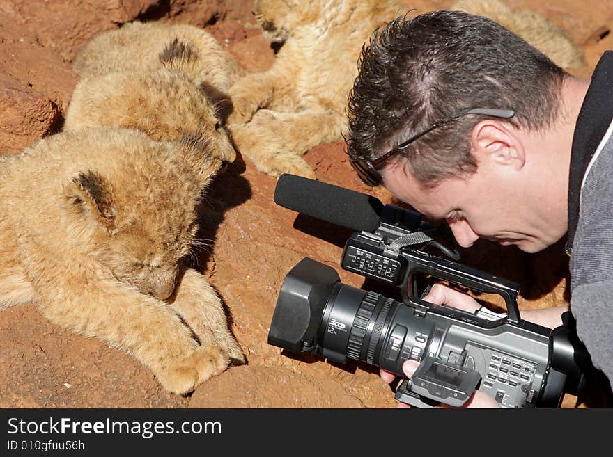 Lion Camera