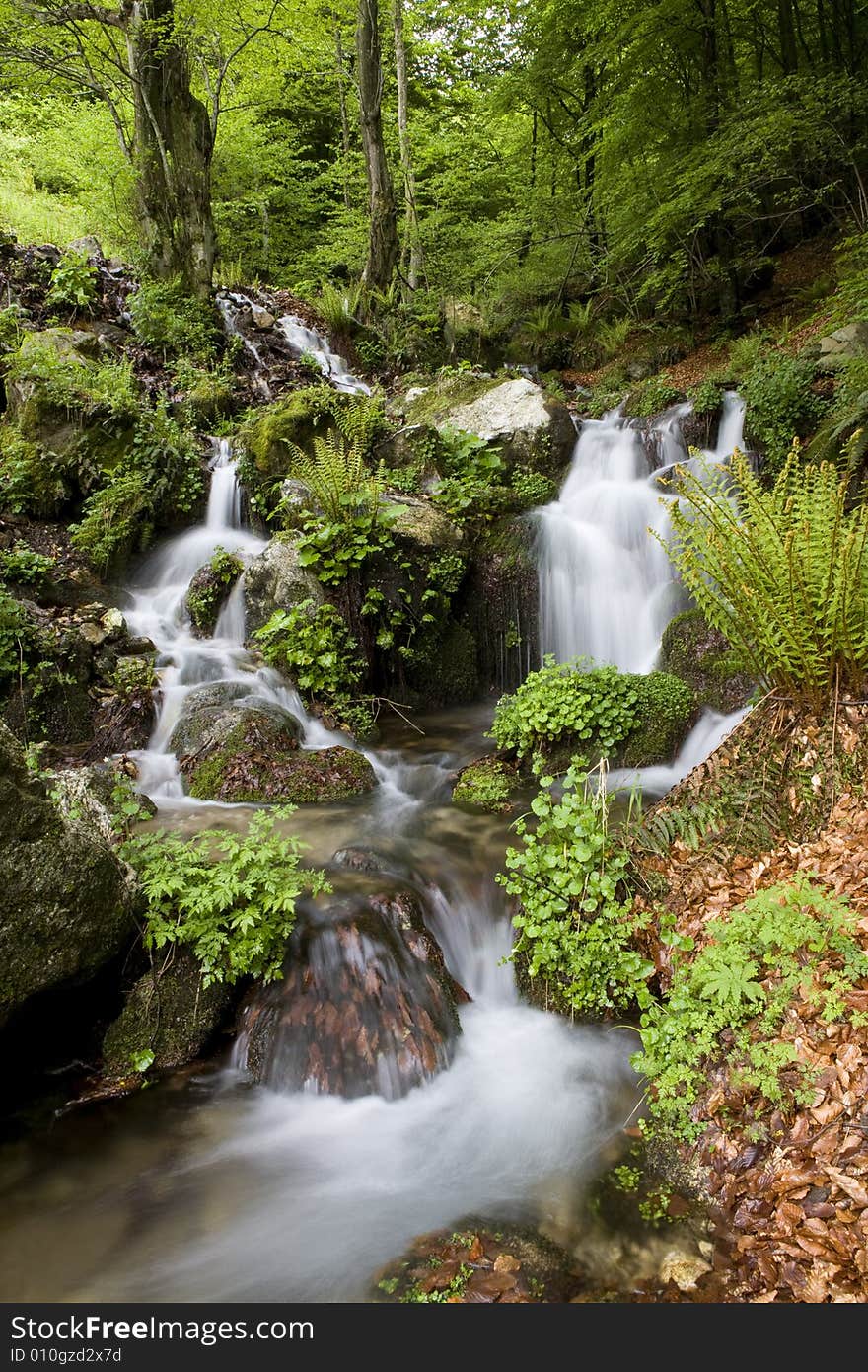 Beautiful waterfall between vegetation and stones