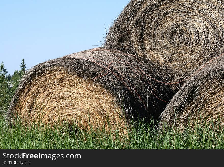 Rolled Hay Bales