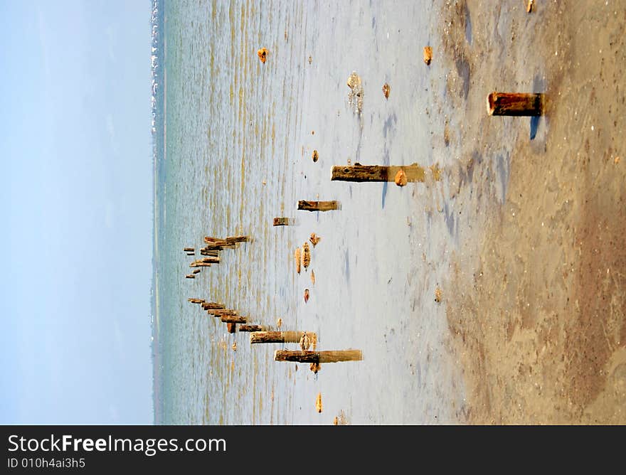 Ecological accident the estuary has shoaled. Ecological accident the estuary has shoaled