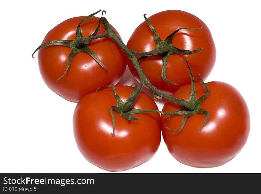 Group of four red tomato