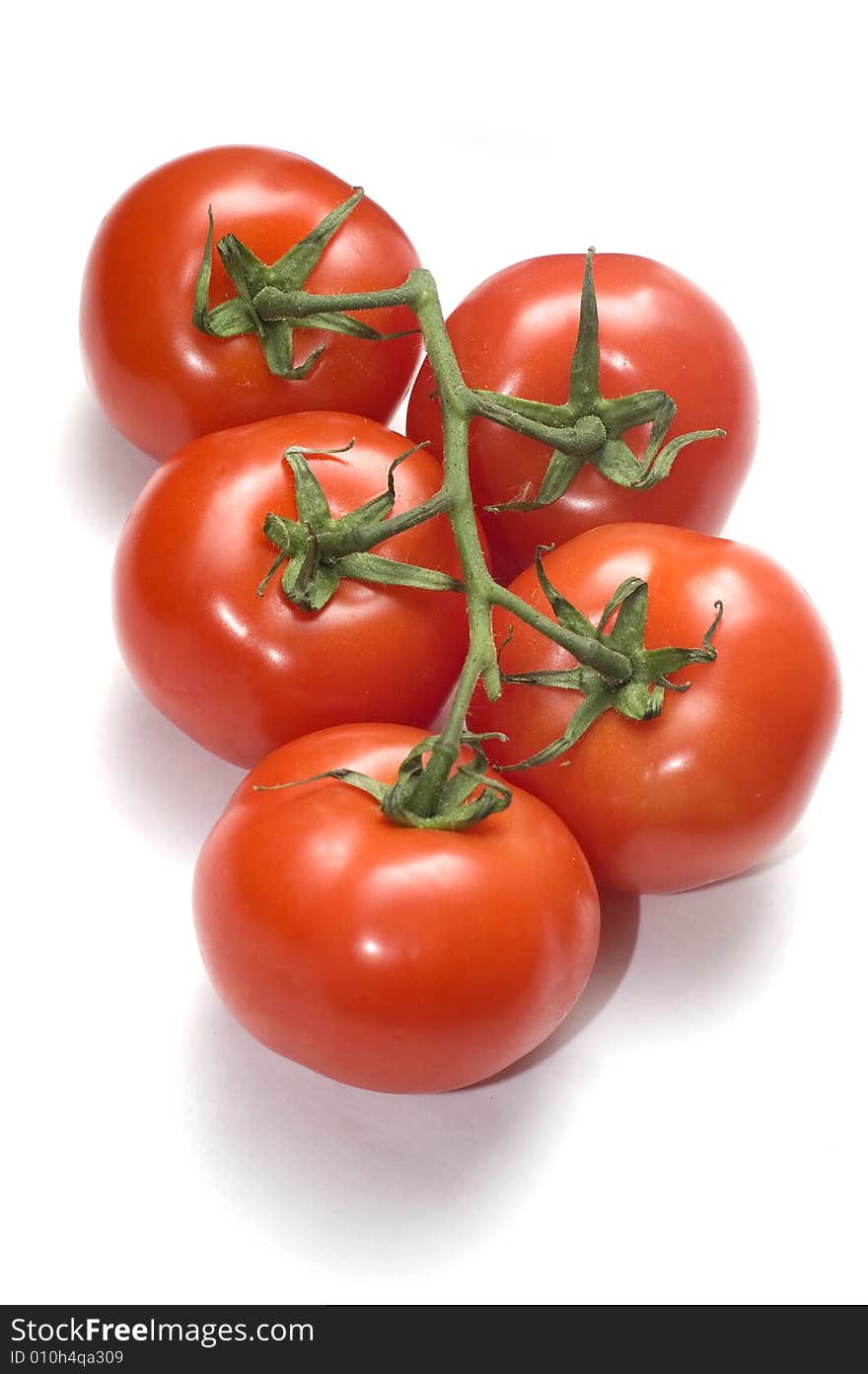 Group Of Five Red Tomato On Branch