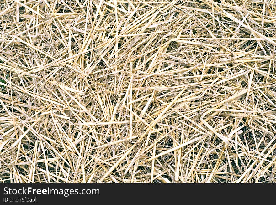 Straw Background