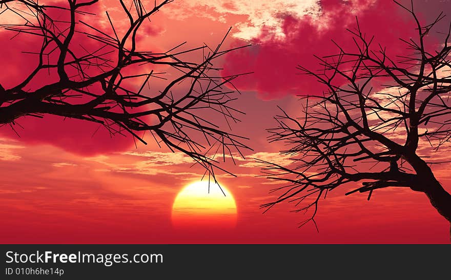 Tree silhouettes  at sunset - digital artwork. Tree silhouettes  at sunset - digital artwork.