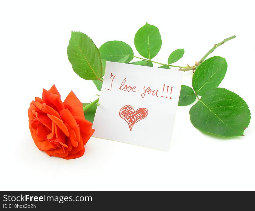 Red rose and love message, isolated over white background, concept of love and romance.