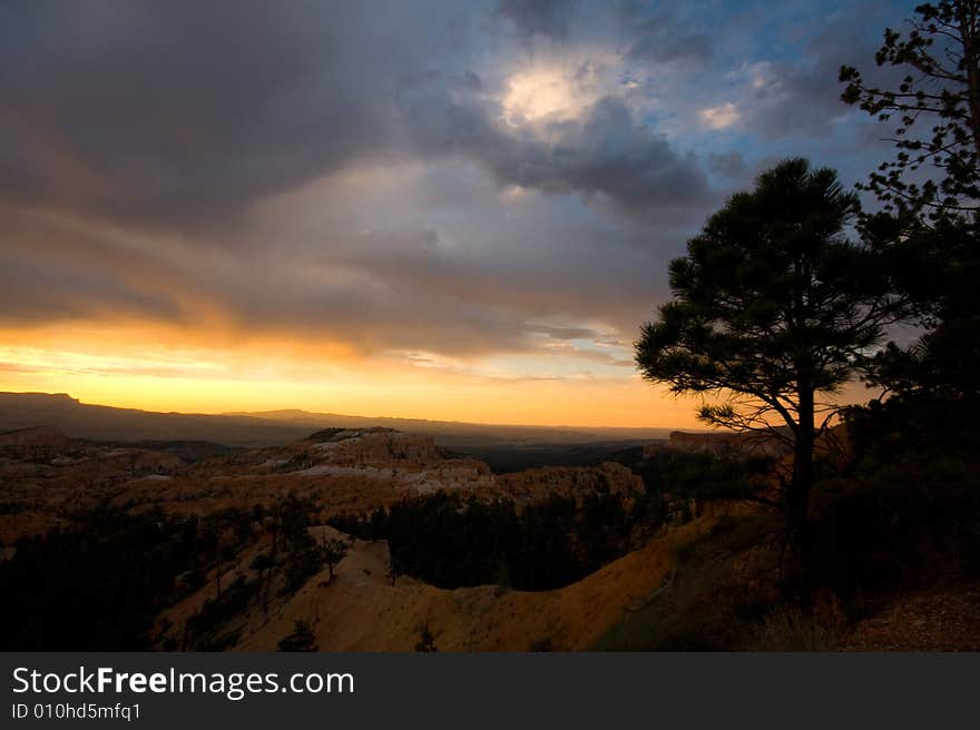 Bryce Canyon Sunrise with Tree Silhouette