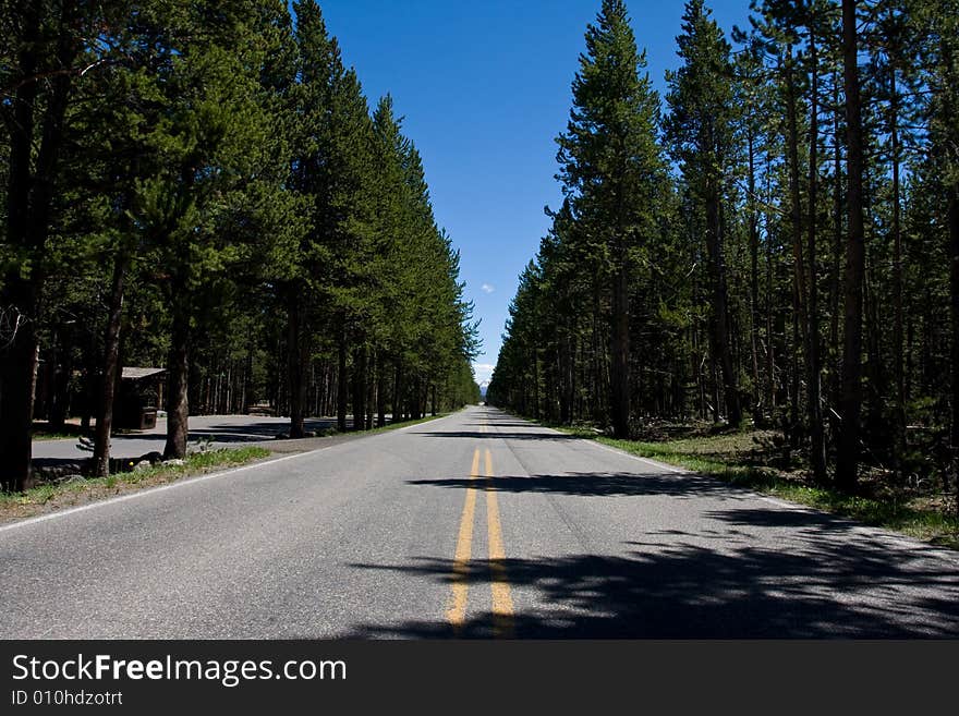 Images at midday from Yellowstone national park in Wyoming. Images at midday from Yellowstone national park in Wyoming