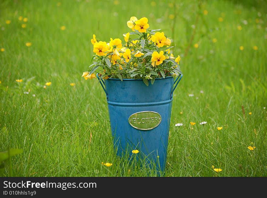 Flowers