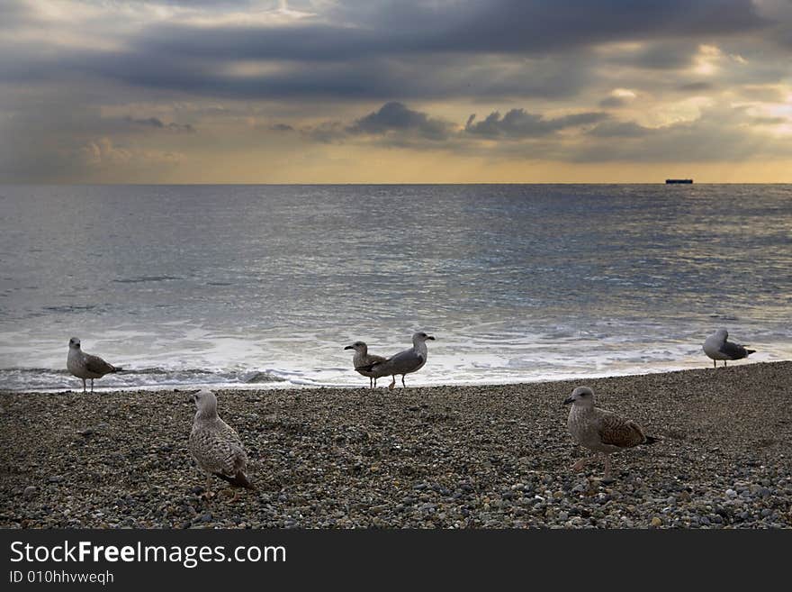 A cloudy sky with sea-cobs on the beach. A cloudy sky with sea-cobs on the beach