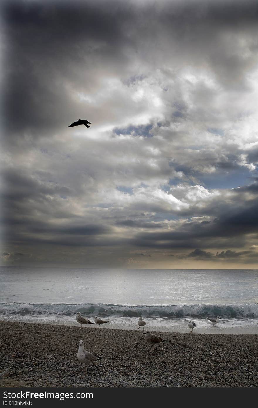 Beach And Clouds