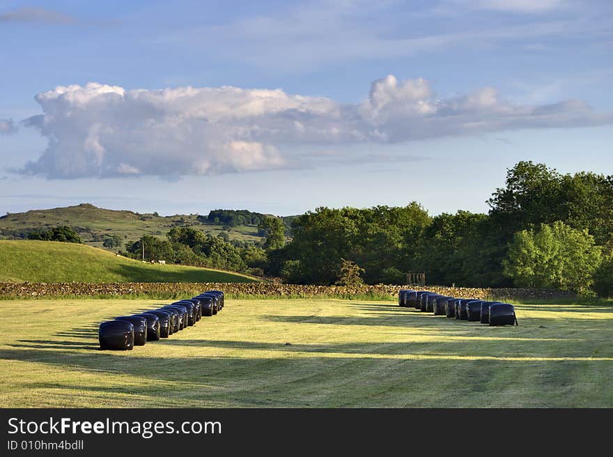 Hay bales near Ings