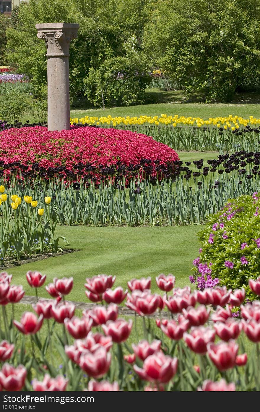 Flowerbed of tulips in different colors