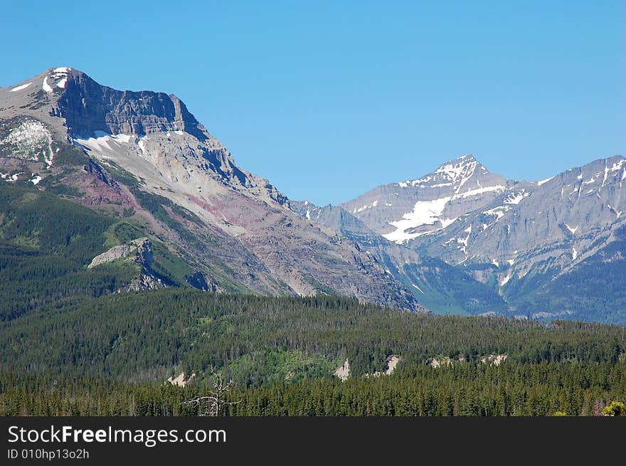 Forests And Mountains