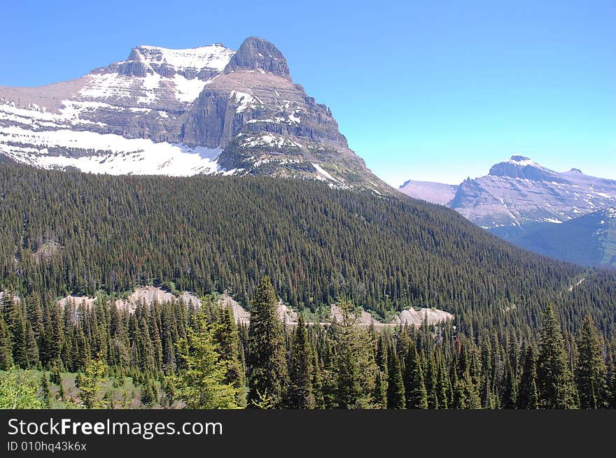 Forests and mountains