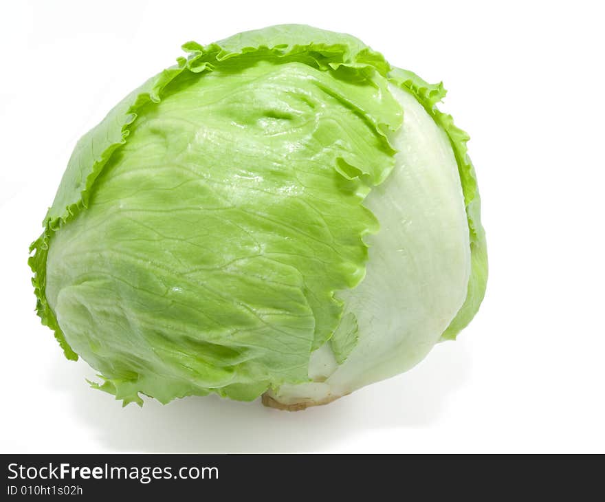 Baby Cabbage On White Background