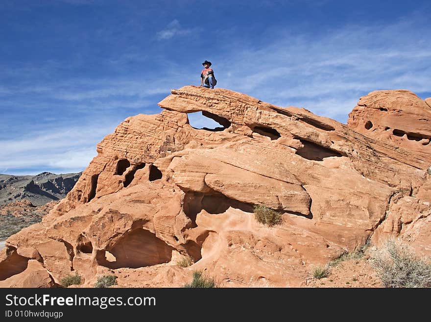 Lonely cowboy