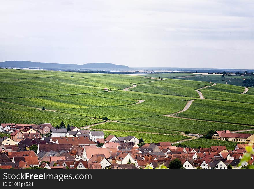 Vineyards near village