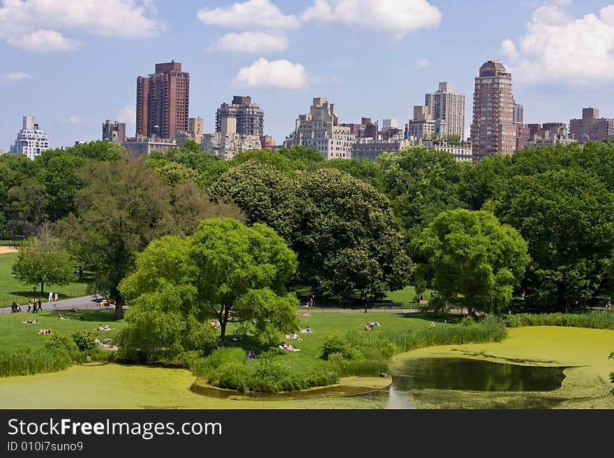 A view of high rise buildings from Central Park, NYC. A view of high rise buildings from Central Park, NYC.