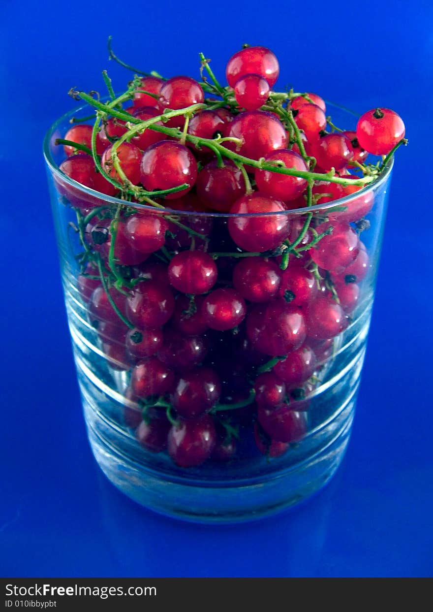 Currant