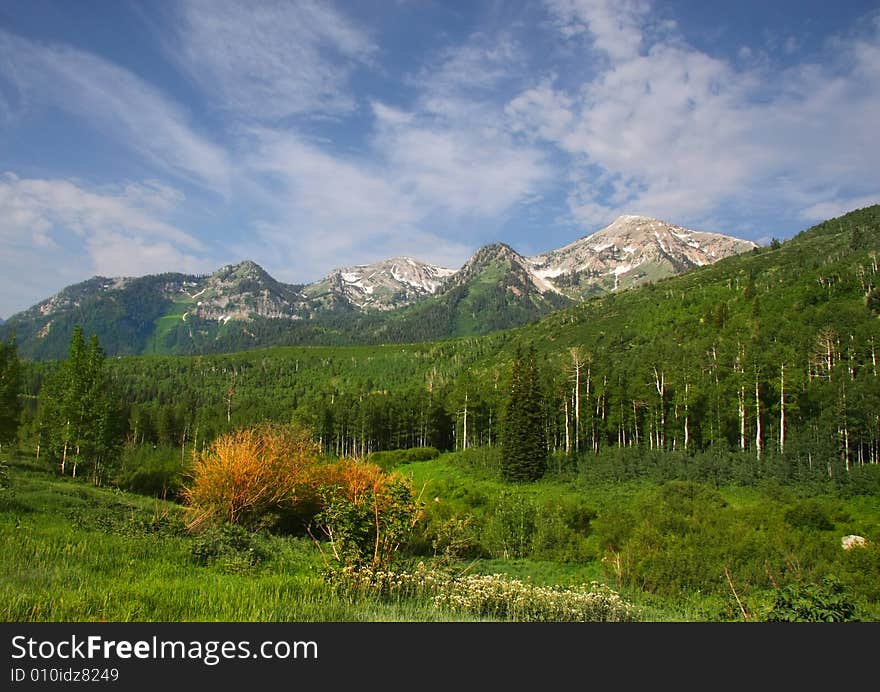 Rocky Mountains showing spring colors with blue sky and clouds. Rocky Mountains showing spring colors with blue sky and clouds