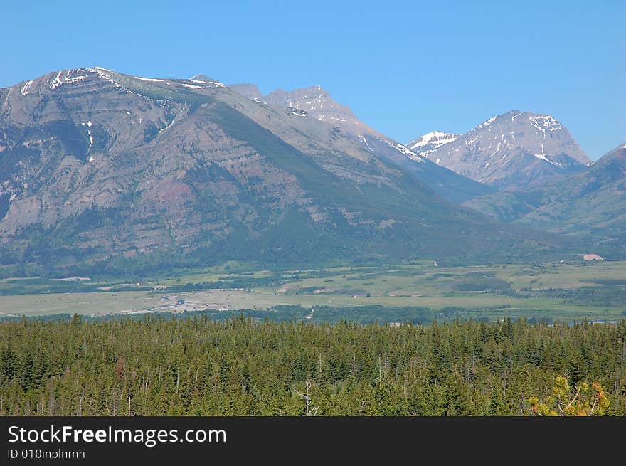 Forests And Mountains