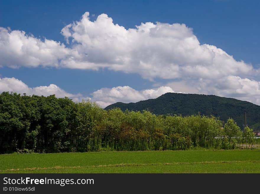 The beautiful bule sky and clouds. The beautiful bule sky and clouds