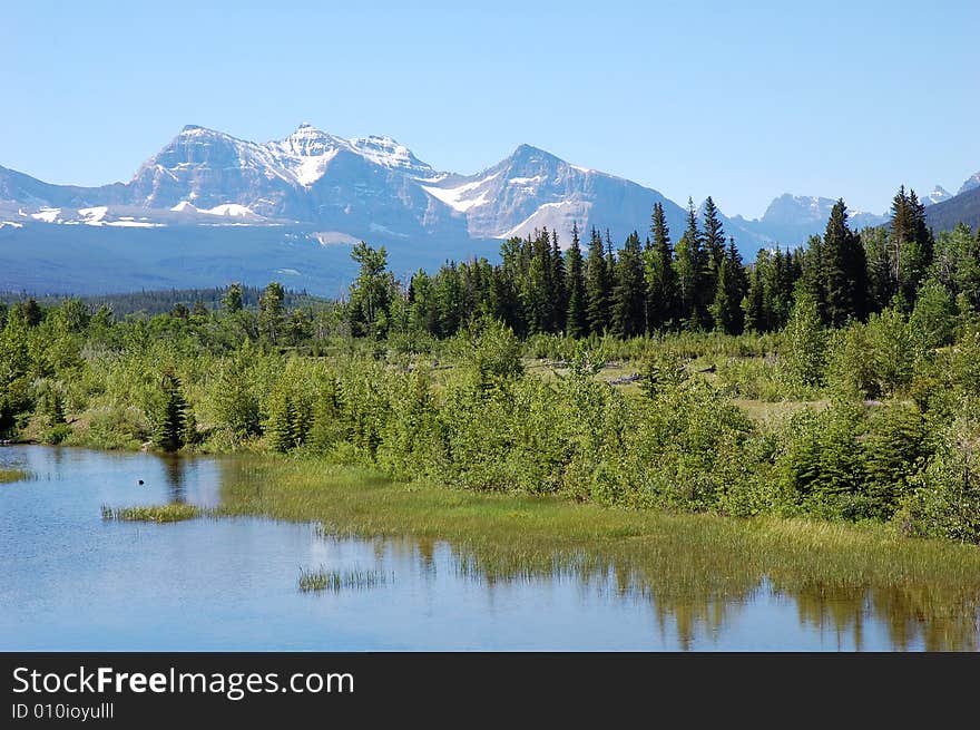 Landscapes of snow mountains, lake and flourishing forests in glacier national park, usa. Landscapes of snow mountains, lake and flourishing forests in glacier national park, usa