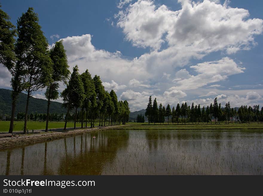 The beautiful bule sky and clouds. The beautiful bule sky and clouds