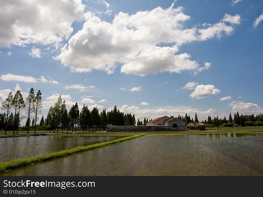 The beautiful bule sky and clouds. The beautiful bule sky and clouds