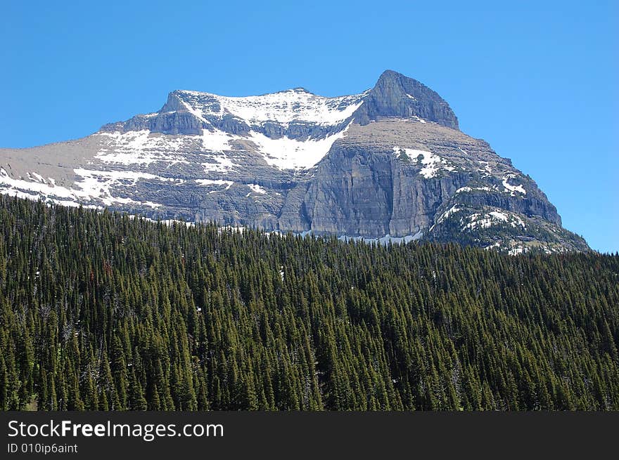 Rocky mountains and forests in glacier national park, montana, united states. Rocky mountains and forests in glacier national park, montana, united states