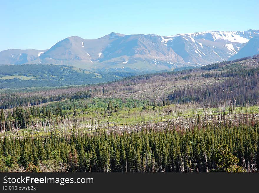 Snow mountains and hillside forests