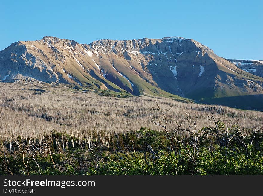 Mountains And Hillside Forests