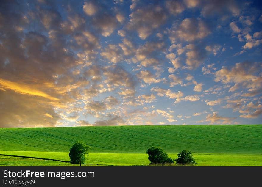 Field on a background of the blue sky. Field on a background of the blue sky