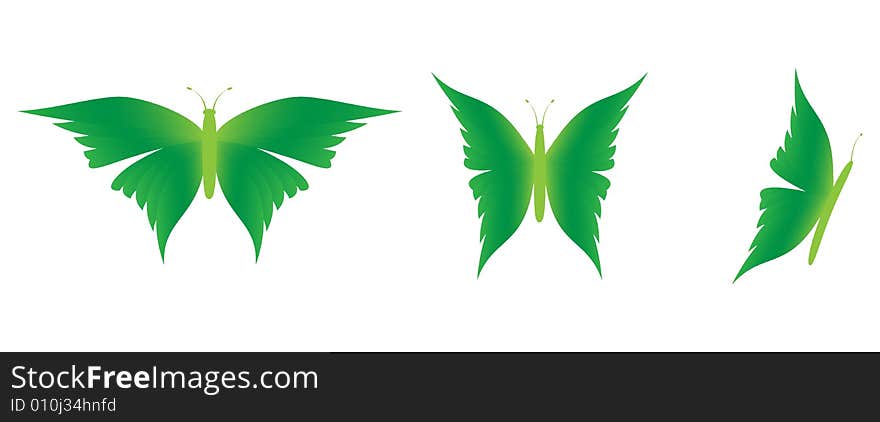 Detailed illustration of three butterflies