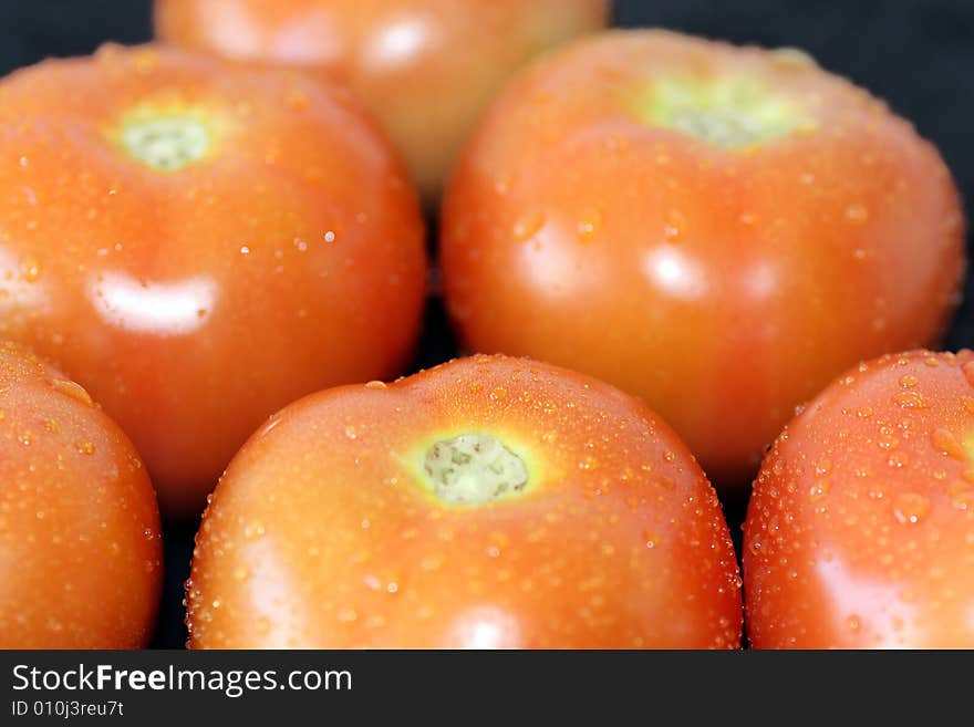 Bunch of red tomatoes with drops of water isolated on a black background. Bunch of red tomatoes with drops of water isolated on a black background.