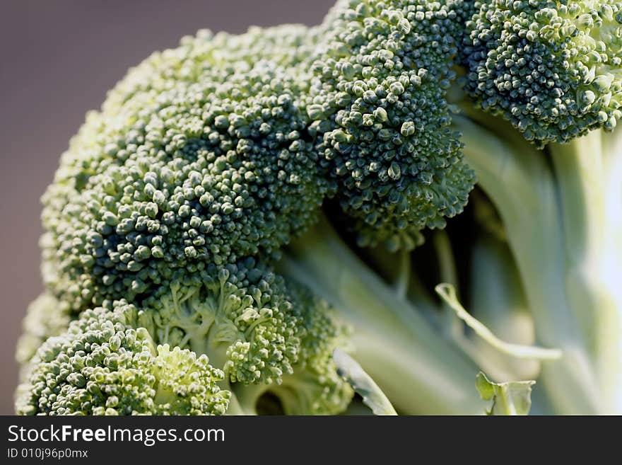 Broccoli closeup