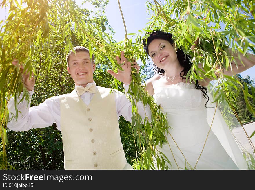 Bride and groom in the branches of the tree. Bride and groom in the branches of the tree