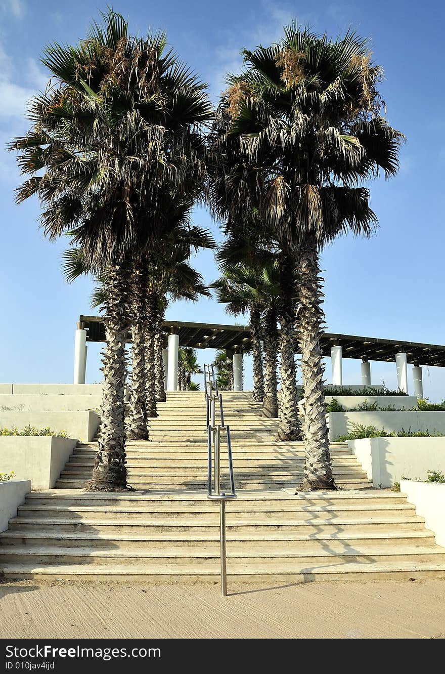 Stairway external with banisters and palm. Stairway external with banisters and palm