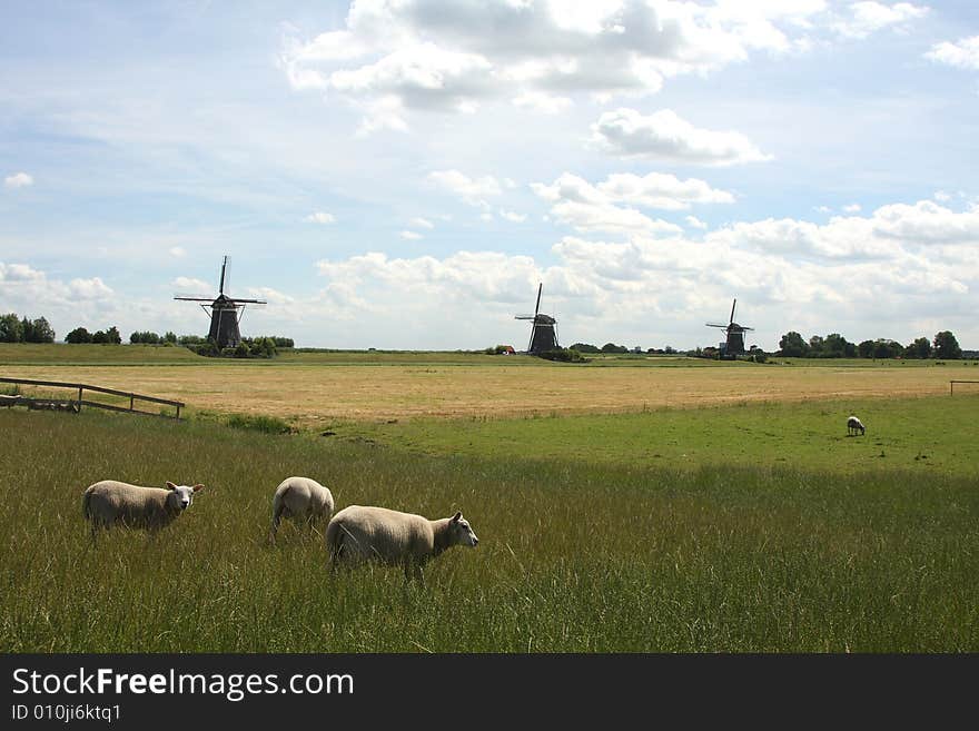 Windmill in the Hague