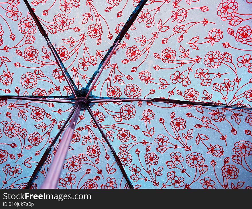 Behind a Wet Umbrella