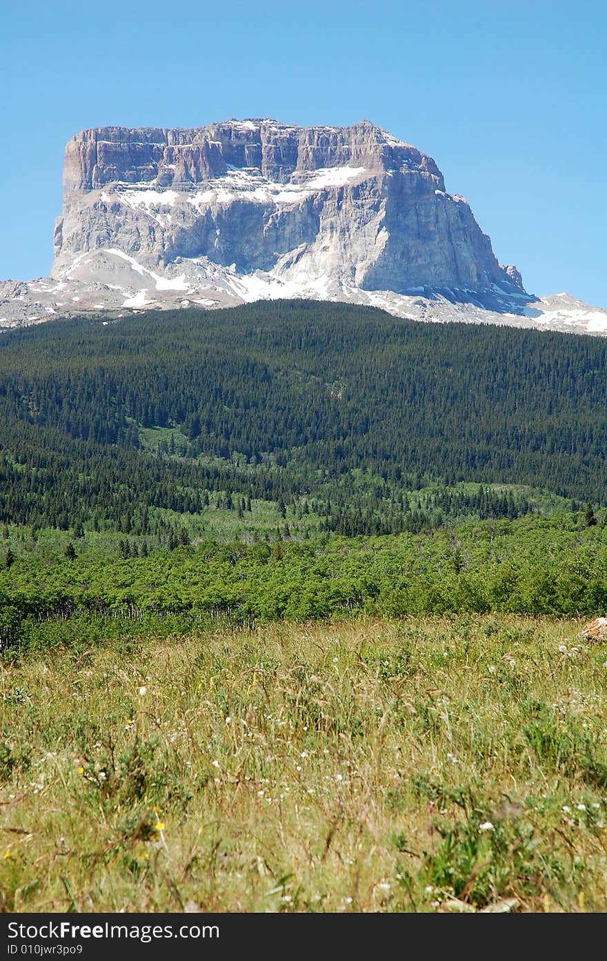 Glacier Mountian And Forests