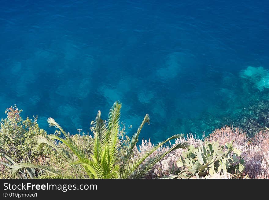 Ionic sea and palm tree background. Ionic sea and palm tree background