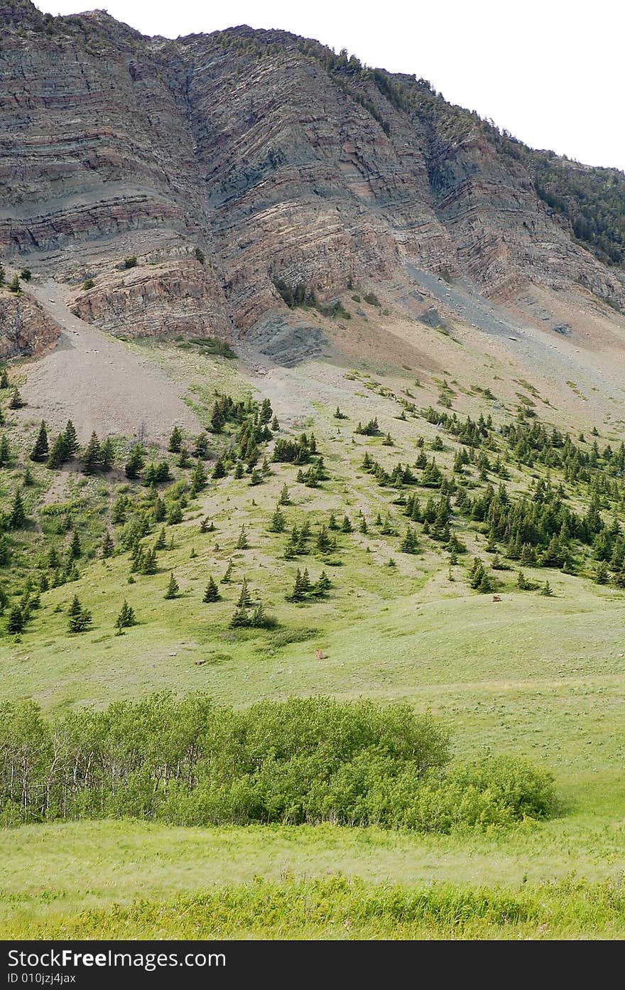 Mountains and hillside grassland in waterton lakes national park, alberta, canada. Mountains and hillside grassland in waterton lakes national park, alberta, canada