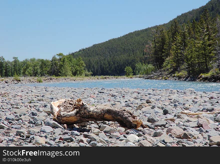 River bank and forests in waterton lakes national park, alberta, canada. River bank and forests in waterton lakes national park, alberta, canada