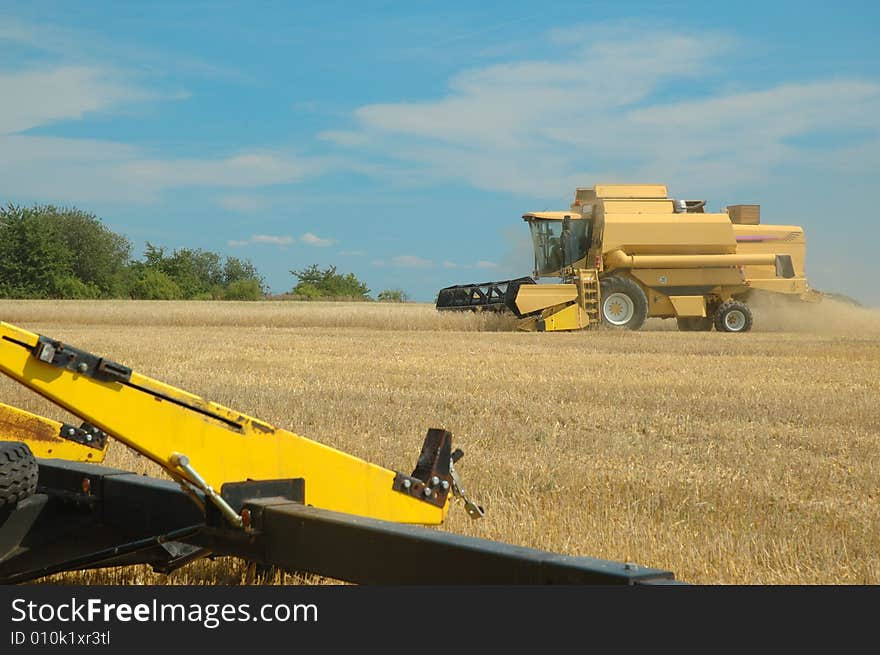 Harvest time