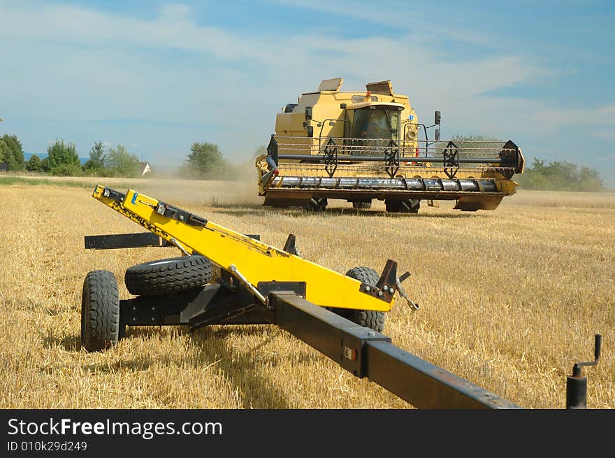 Harvest time