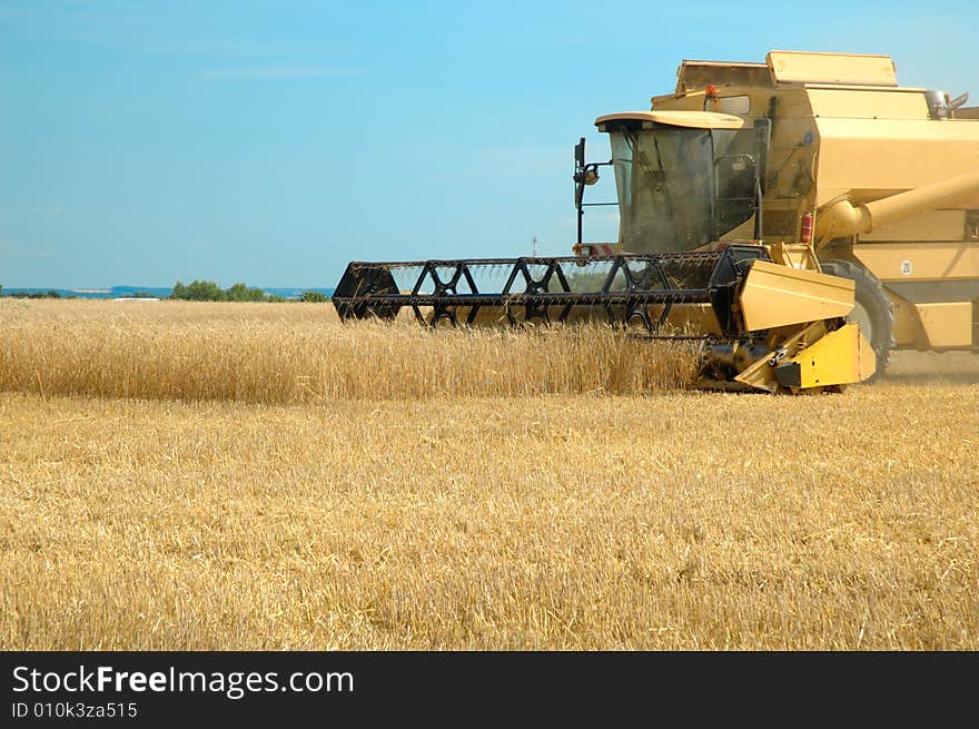 Machine Harvesting The Corn Field