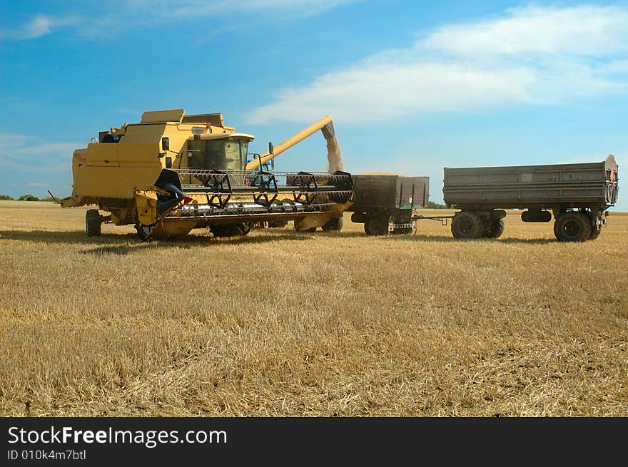 A combine harvester working in a wheat field, (focus on Tractor). A combine harvester working in a wheat field, (focus on Tractor)