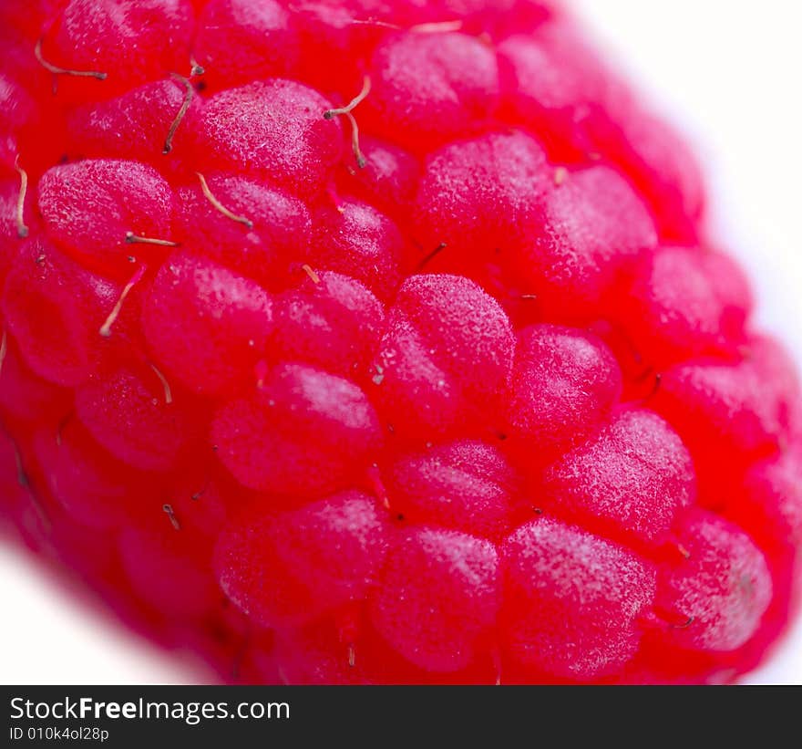 Macro Of Raspberry