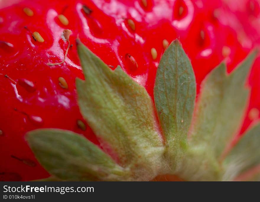 Macro of strawberry with leaves